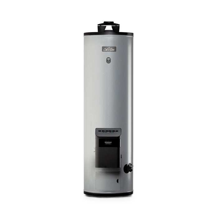 Calorex Boiler Calentador de Agua De Deposito Para 2 Servicio Maximus Advance WI-Fi G-20