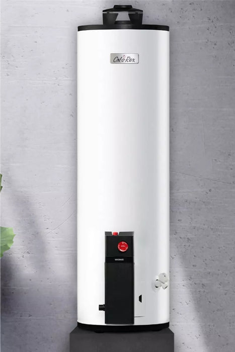 CALOREX CALENTADOR MAXIMUS G20 G2 72LTS LP